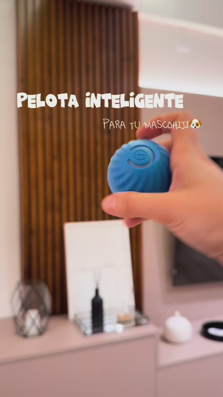 Pelota interactiva mascota